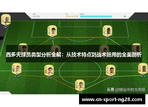 西多夫球员类型分析全解：从技术特点到战术运用的全面剖析